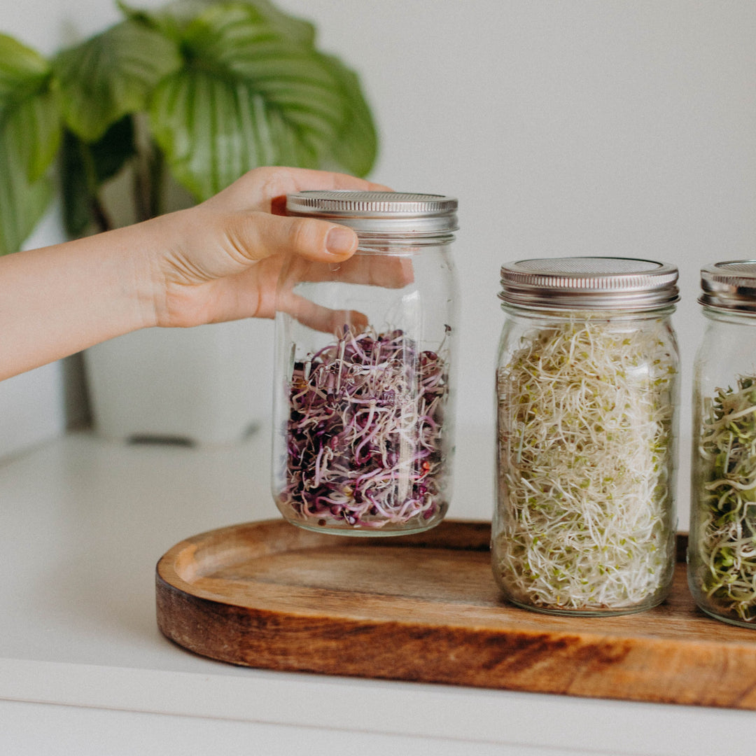 Sprossendeckel | Mason Jar