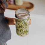 Laden Sie das Bild in den Galerie-Viewer, Sprossendeckel | Mason Jar