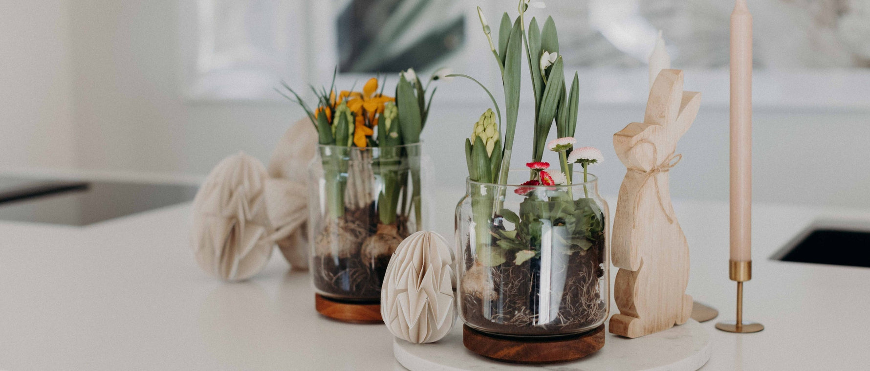 Frühblüher im Glas