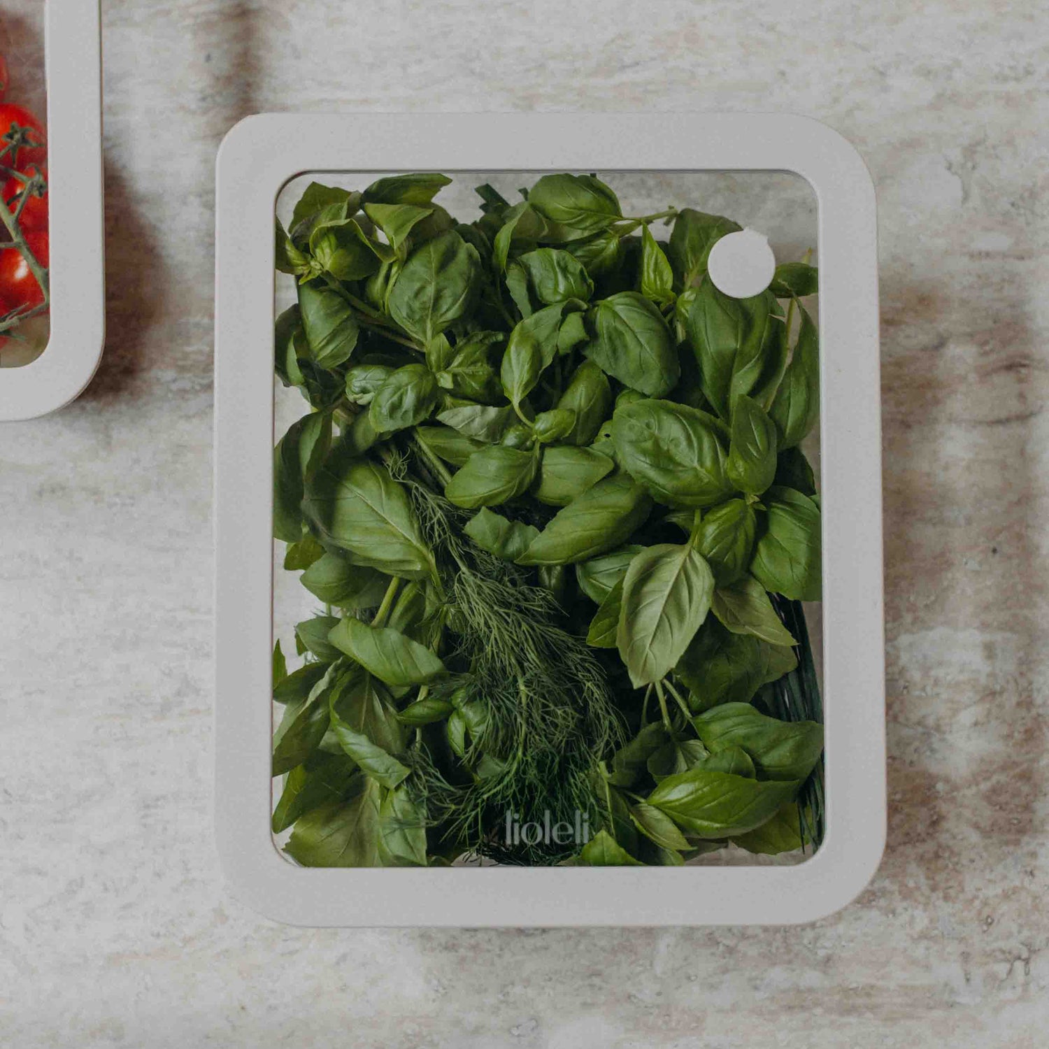 Frischebox | eckig | 2600ml