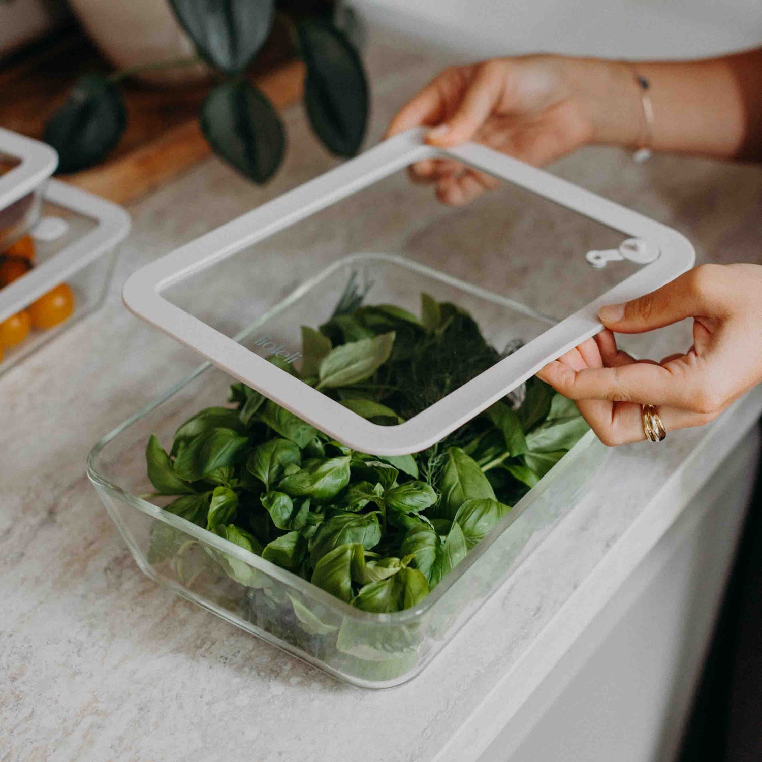 Frischebox | eckig | 2600ml