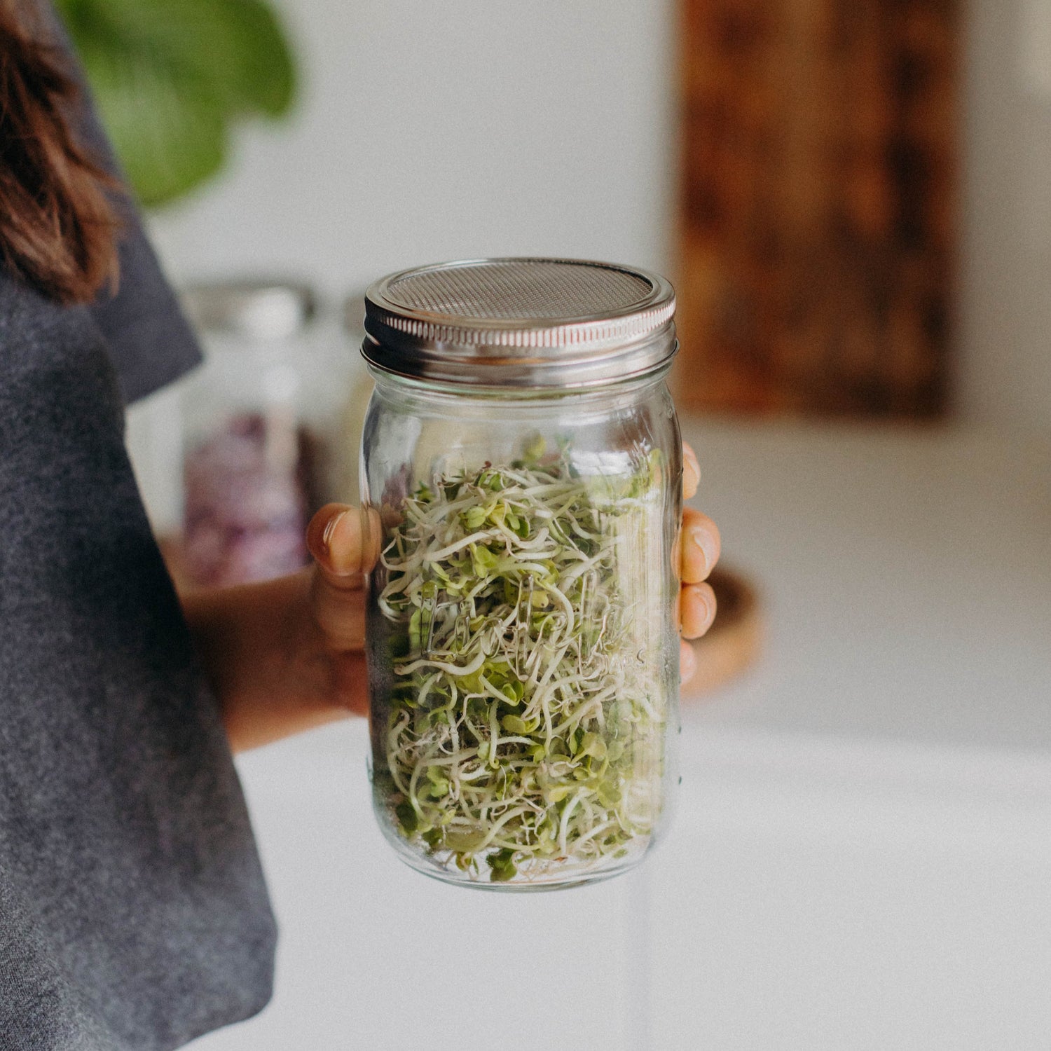 Sprossendeckel | Mason Jar